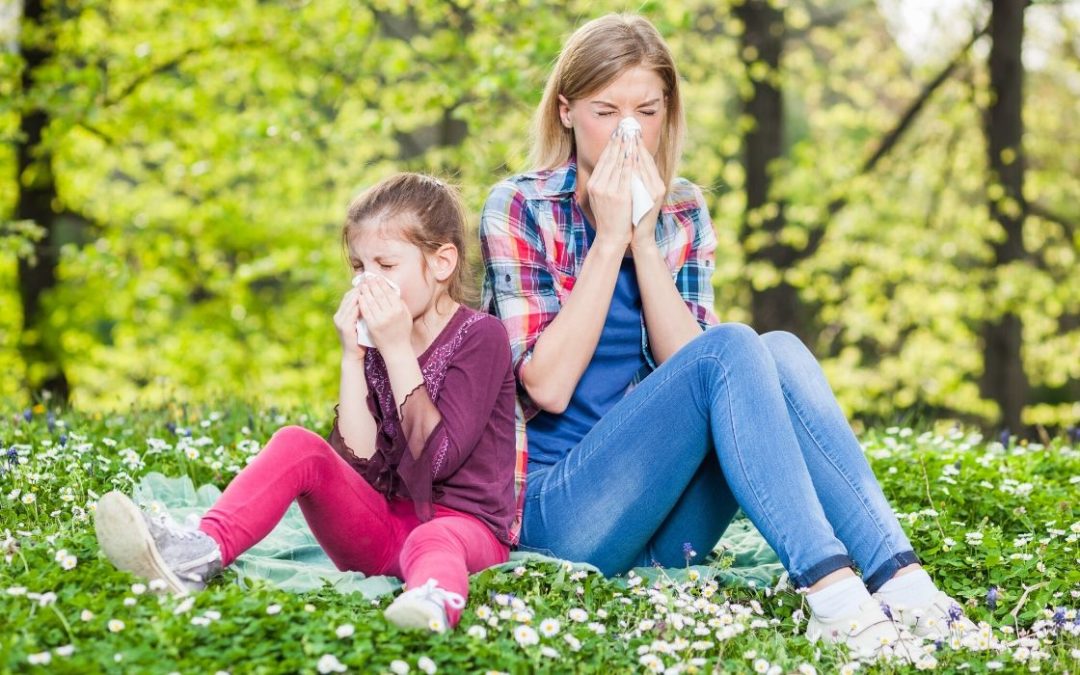 Allergies or Illness? How to Tell the Difference and What You Can Do